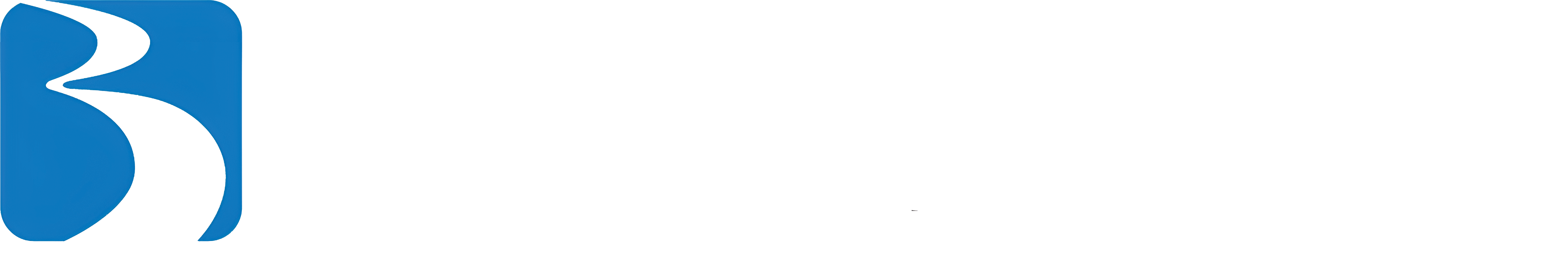 BraunAbility